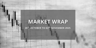 Key insights from 28 October to 03 November 2025
